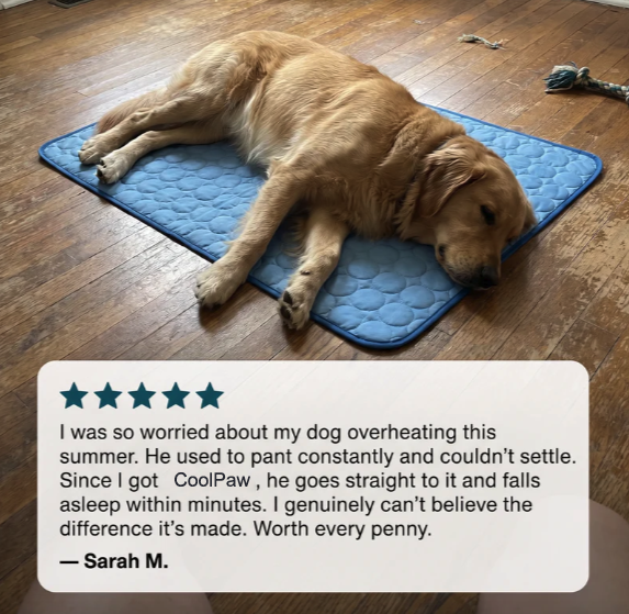 ⭐️Novalorocosh® CoolPaw Self-Cooling Mat for Dogs & Cats