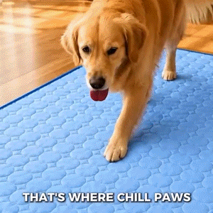 Novalorocosh® CoolPaw Self-Cooling Mat for Dogs & Cats