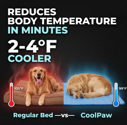 ⭐️Novalorocosh® CoolPaw Self-Cooling Mat for Dogs & Cats